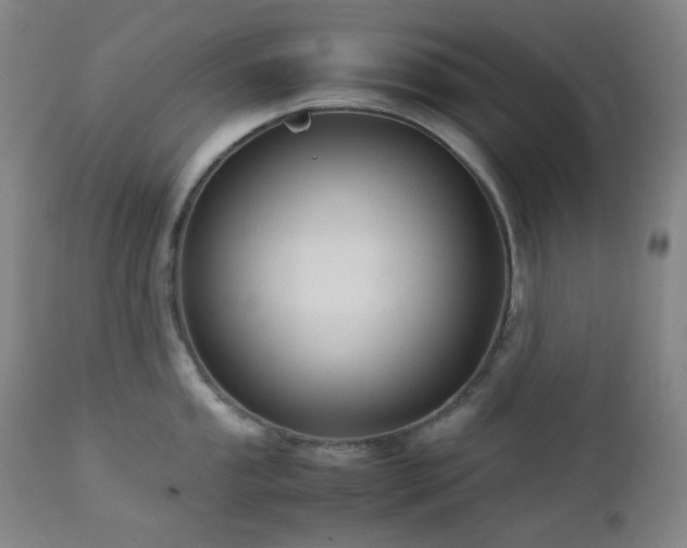 X0000113041053200908271501