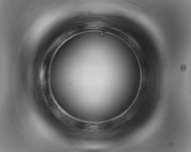 X0000113041054200908271501