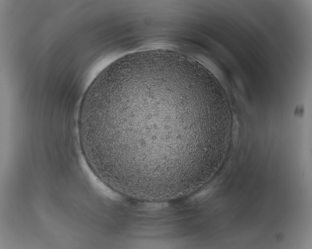 X0000113041055200908271501