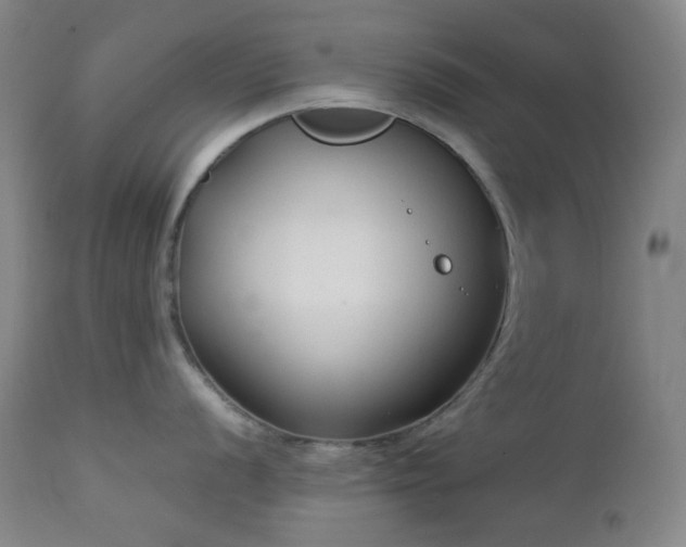 X0000113041056200908271501