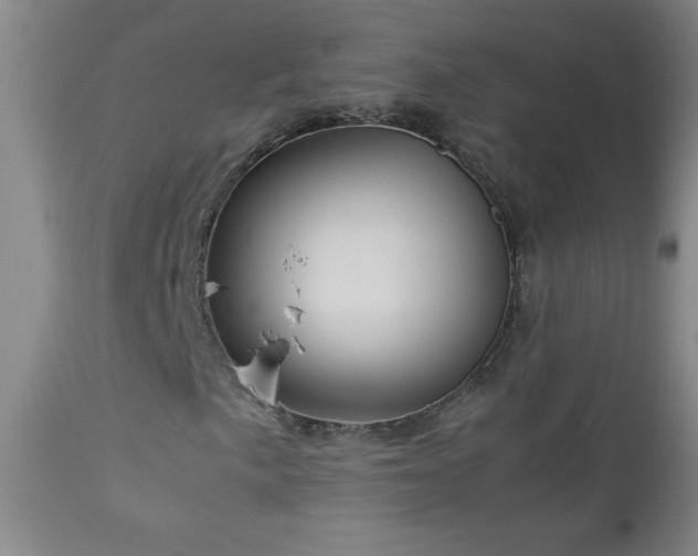 X0000113041057200908271500