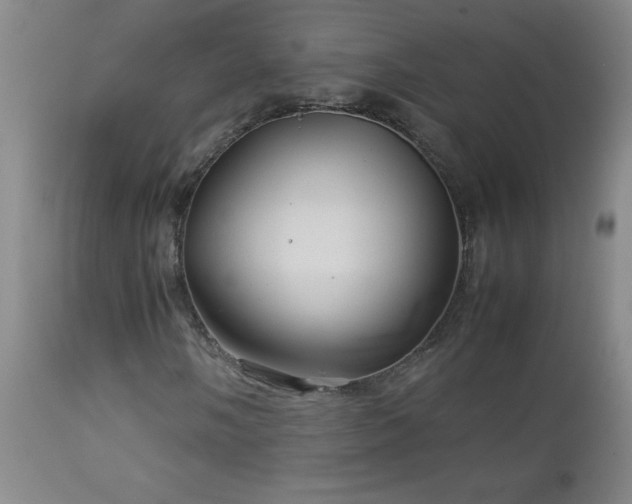 X0000113041058200908271500