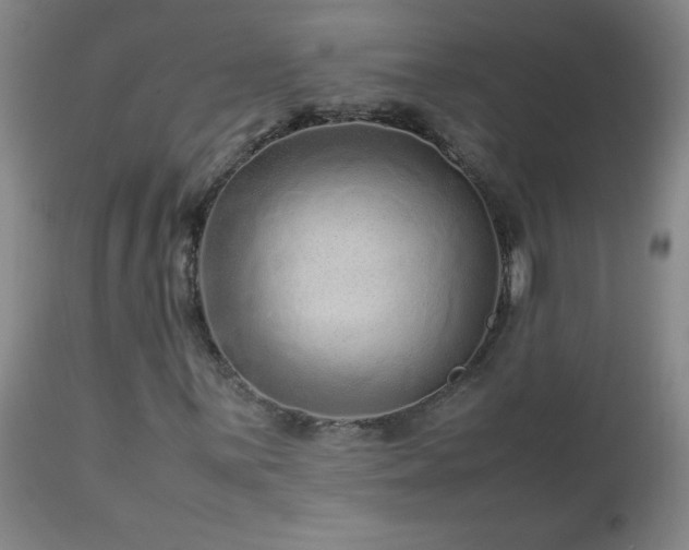 X0000113041059200908271500