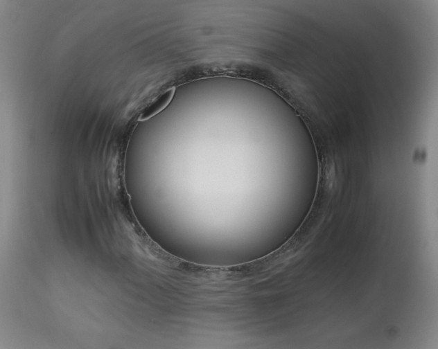 X0000113041060200908271500