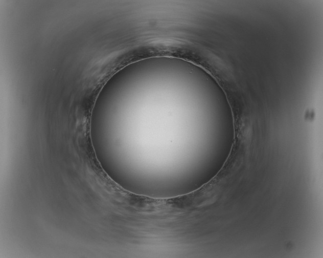 X0000113041061200908271500