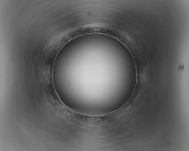 X0000113041062200908271500