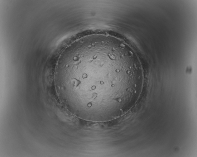 X0000113041063200908271500