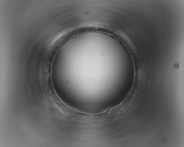 X0000113041064200908271500