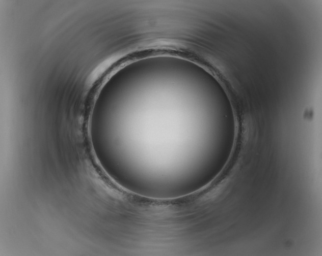 X0000113041066200908271500