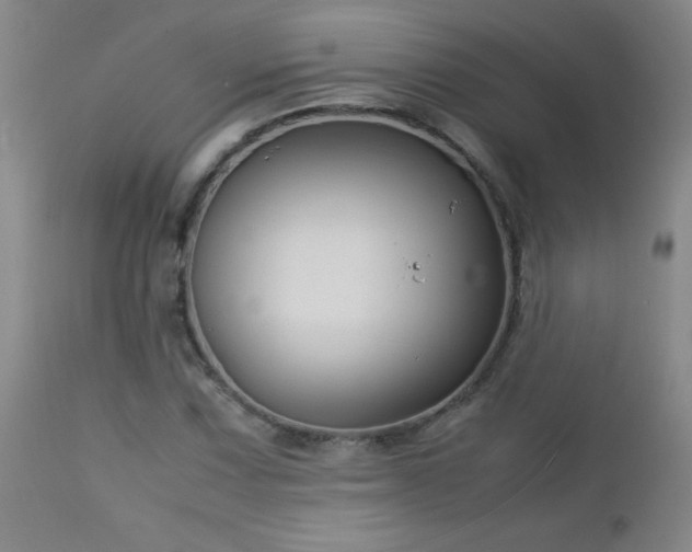 X0000113041067200908271500