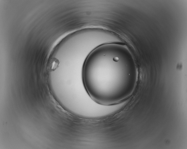 X0000113041068200908271500