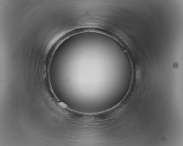 X0000113041069200908271500