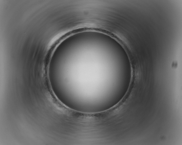 X0000113041070200908271500