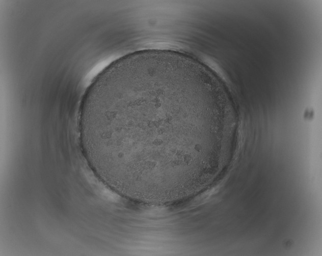 X0000113041071200908271500