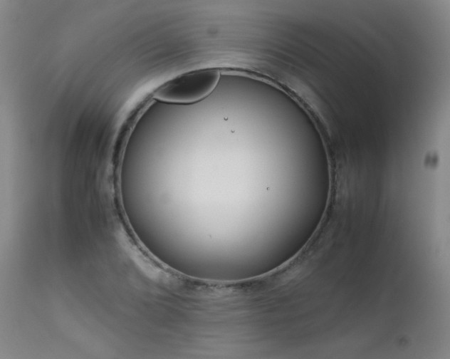 X0000113041072200908271500