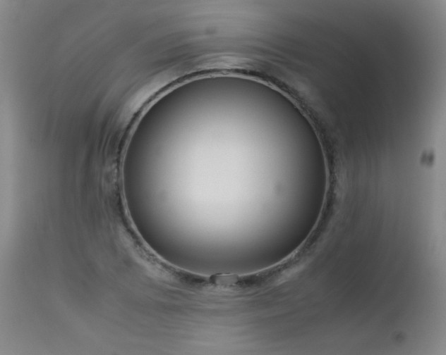 X0000113041073200908271500