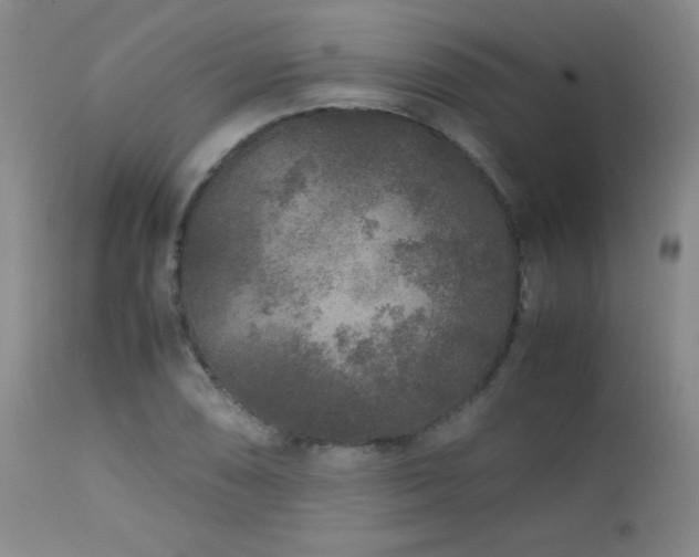 X0000113041074200908271500
