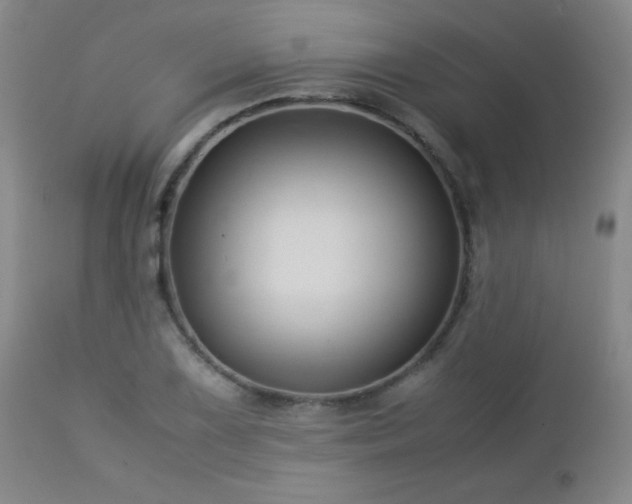 X0000113041075200908271500