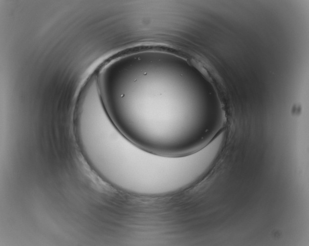 X0000113041076200908271500