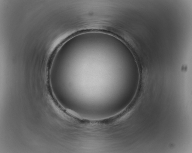 X0000113041077200908271500