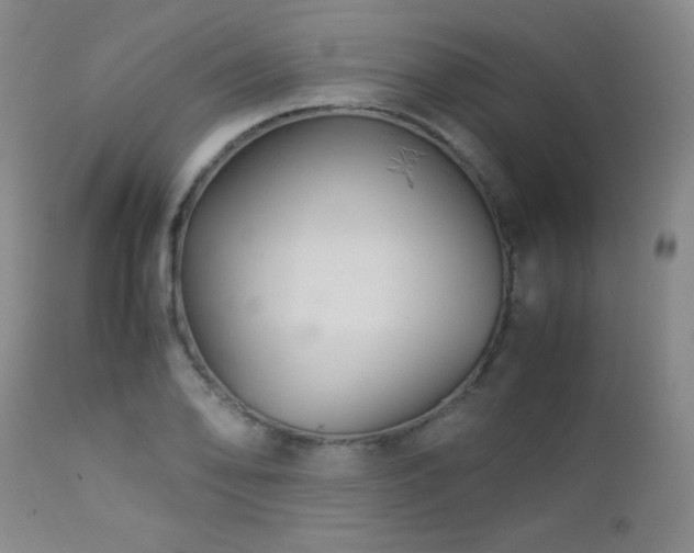 X0000113041078200908271500