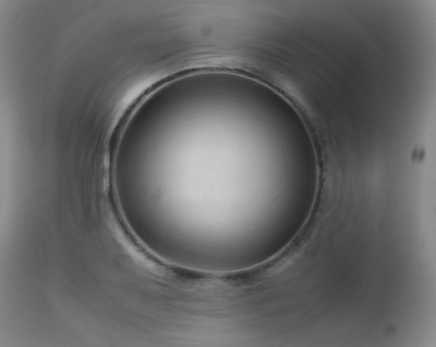 X0000113041079200908271500