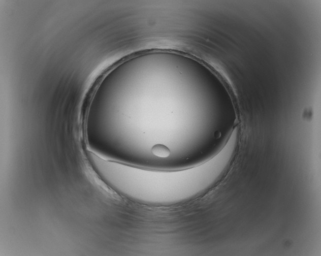 X0000113041080200908271500