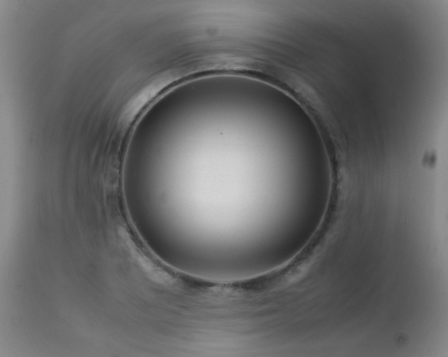 X0000113041081200908271500