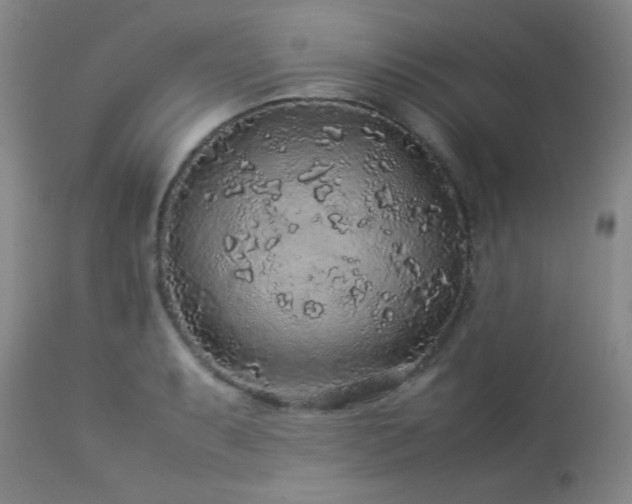 X0000113041087200908271459