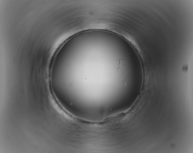 X0000113041088200908271459