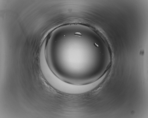X0000113041089200908271459