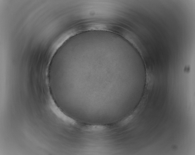 X0000113041090200908271459