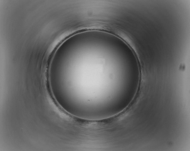 X0000113041093200908271459