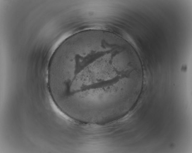 X0000113041095200908271459