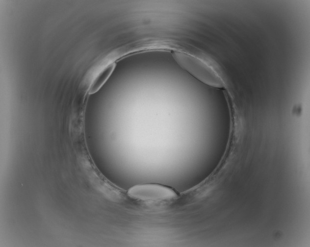 X0000113041097200908271459