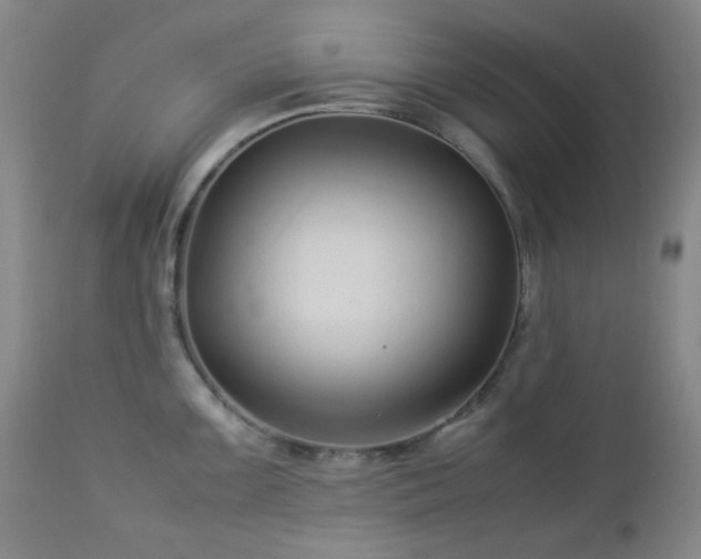 X0000113041099200908271459