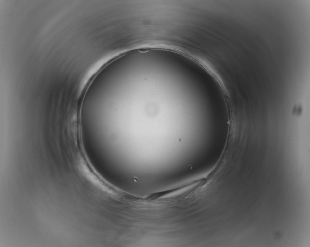 X0000113041100200908271459