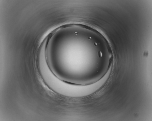 X0000113041101200908271459