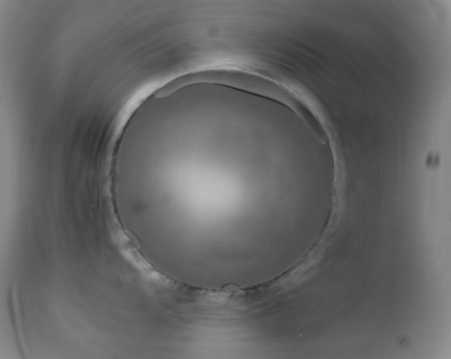 X0000113041104200908271459