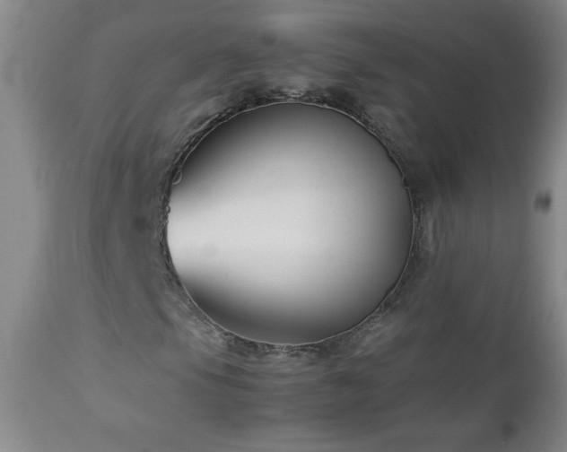 X0000113041105200908271458