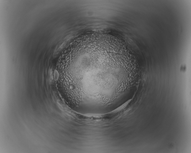 X0000113041106200908271458