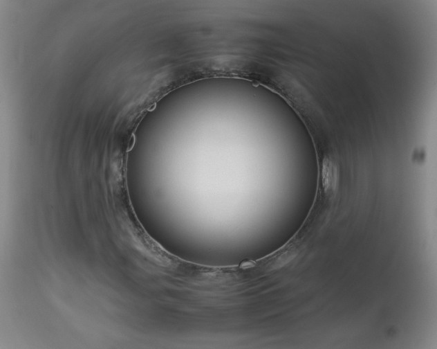 X0000113041107200908271458