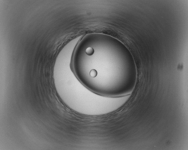 X0000113041108200908271458