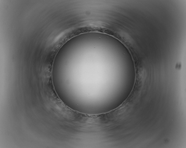X0000113041110200908271458