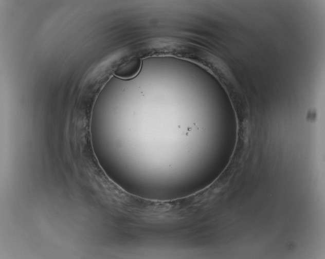 X0000113041111200908271458