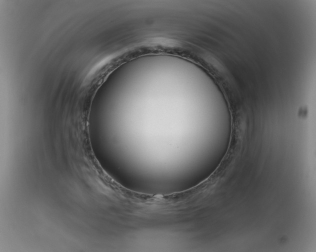 X0000113041112200908271458