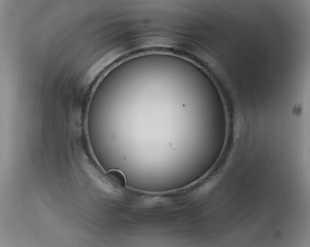 X0000113041113200908271458