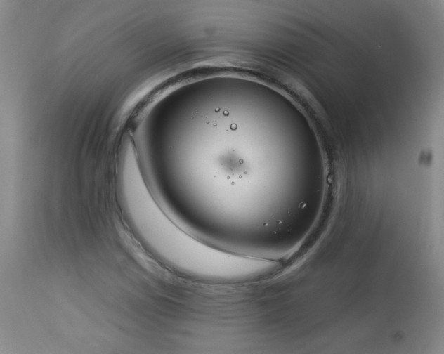 X0000113041114200908271459