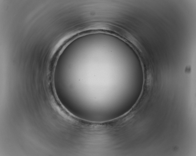X0000113041116200908271459