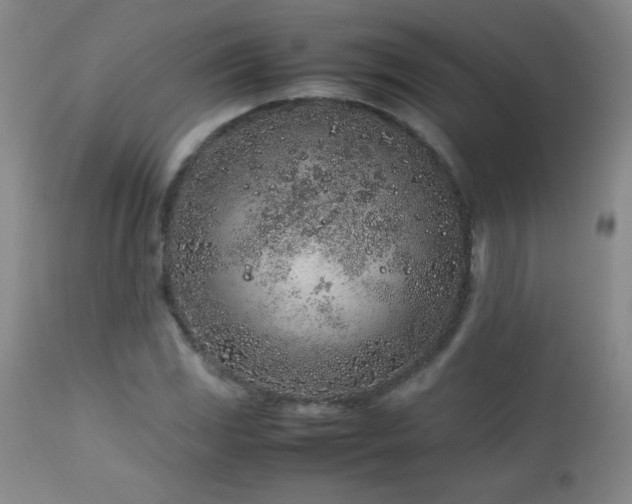 X0000113041117200908271459